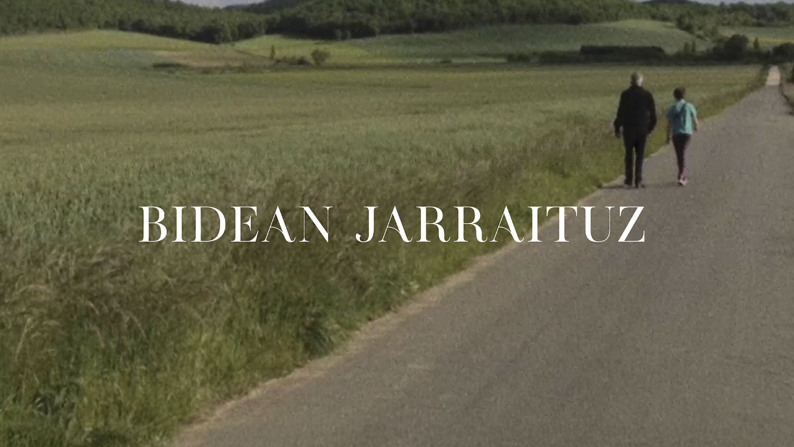 Bidean jarraituz