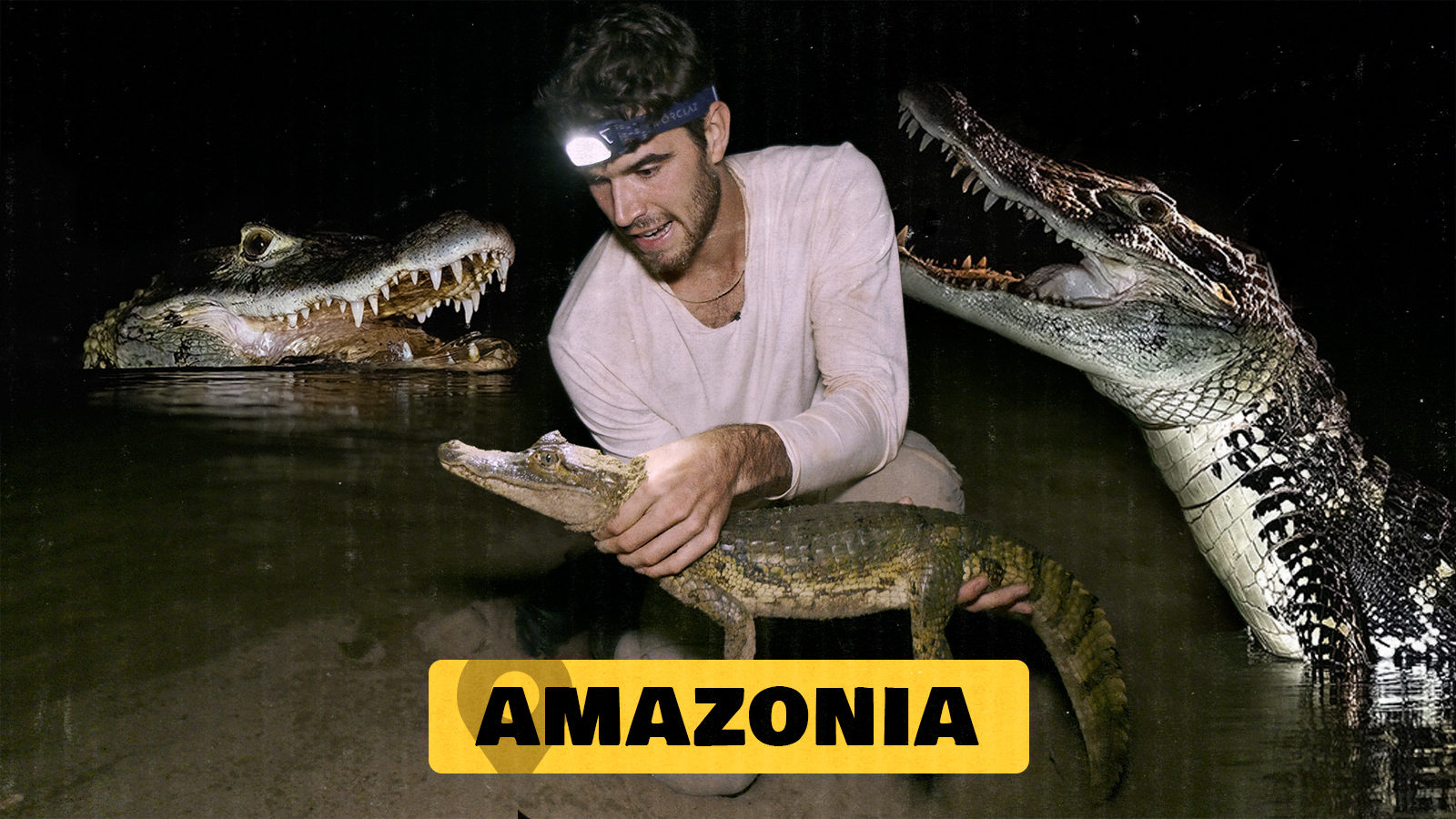 4. Amazonas ibaiko kaimanen artean