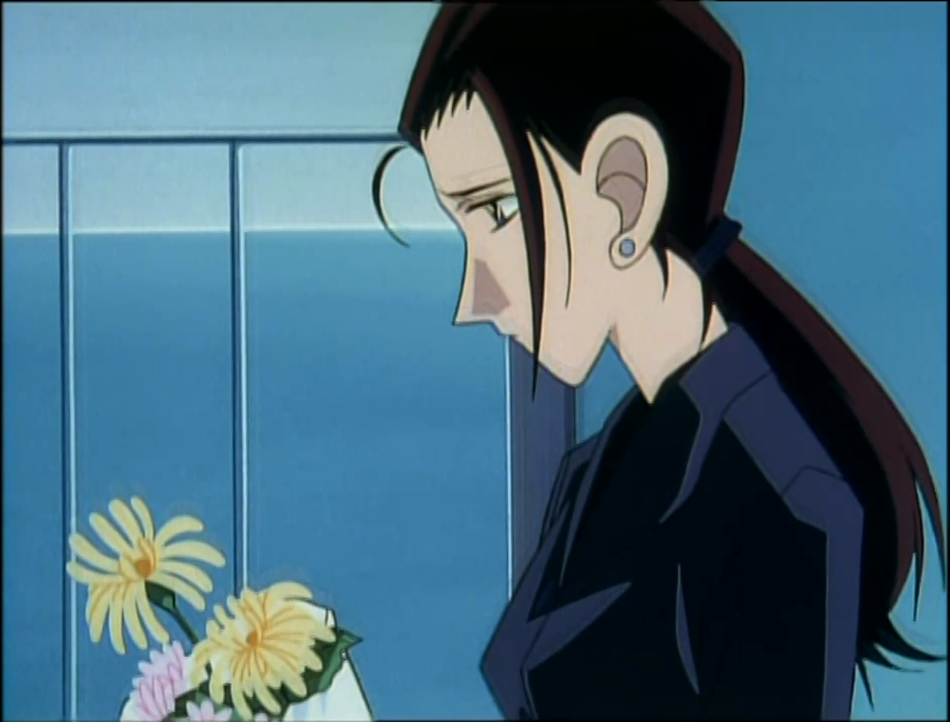 38. Eguberriko kaktusa eta mendekua