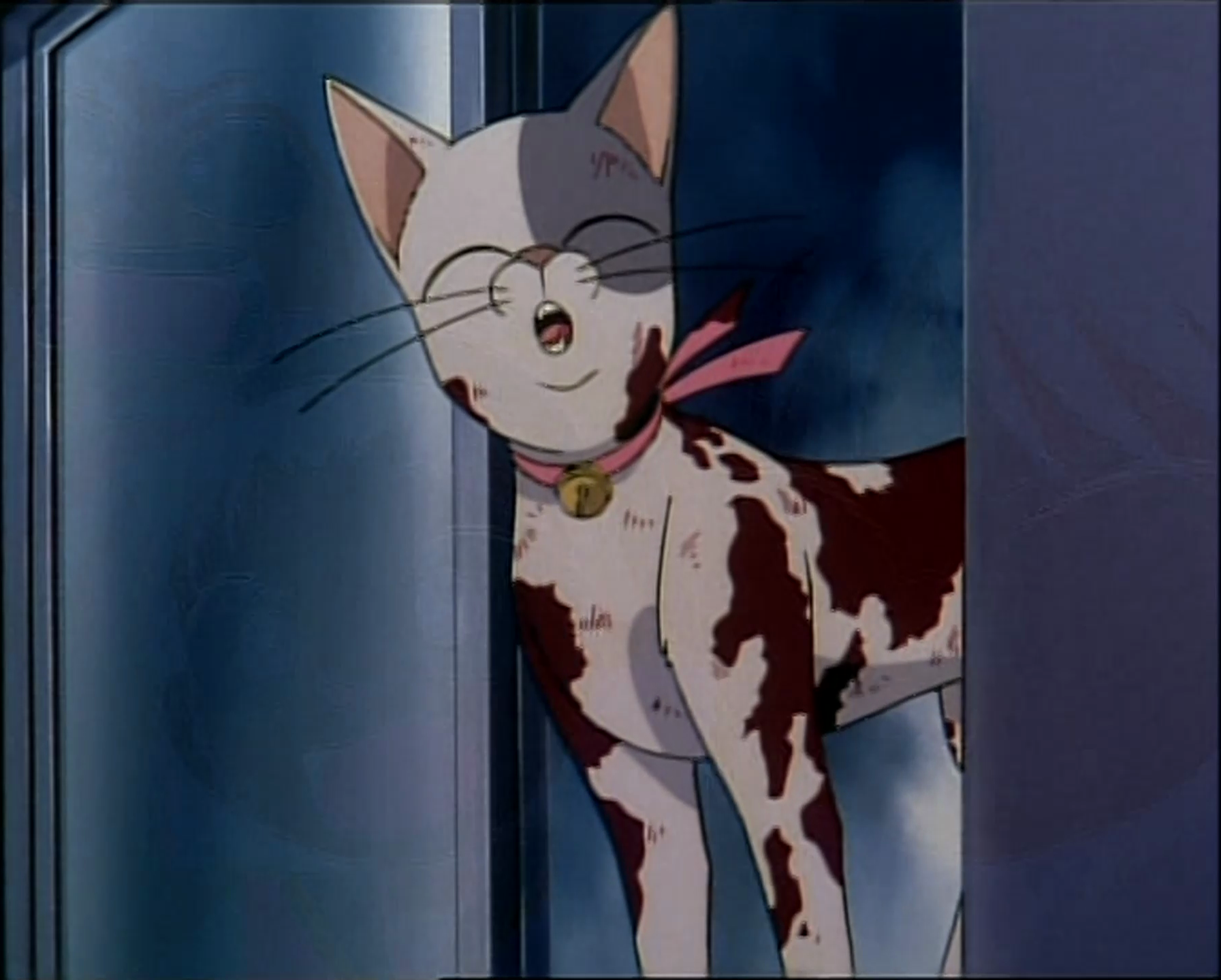 16. Desagertutako gorpua