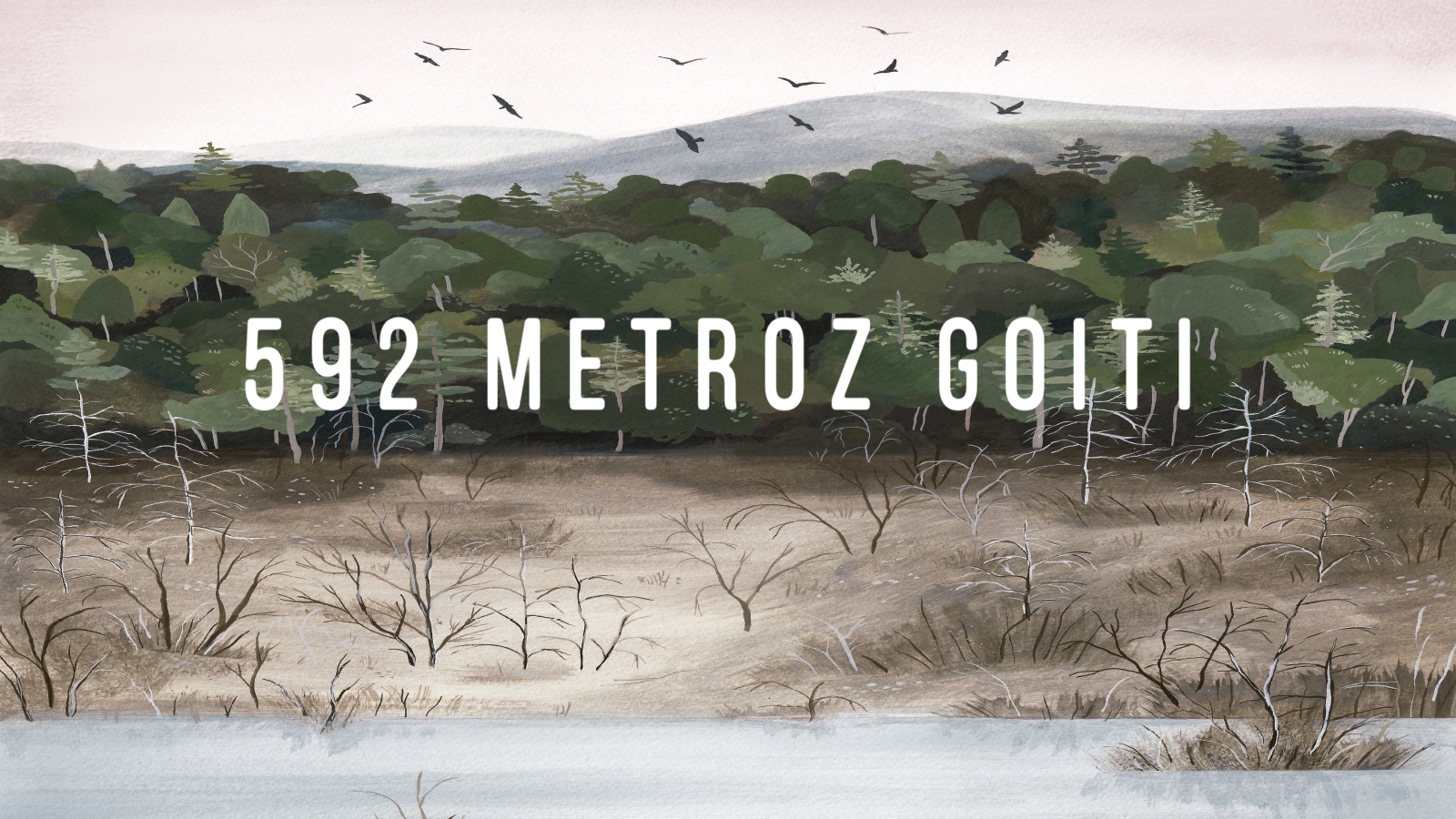 592 metroz goiti