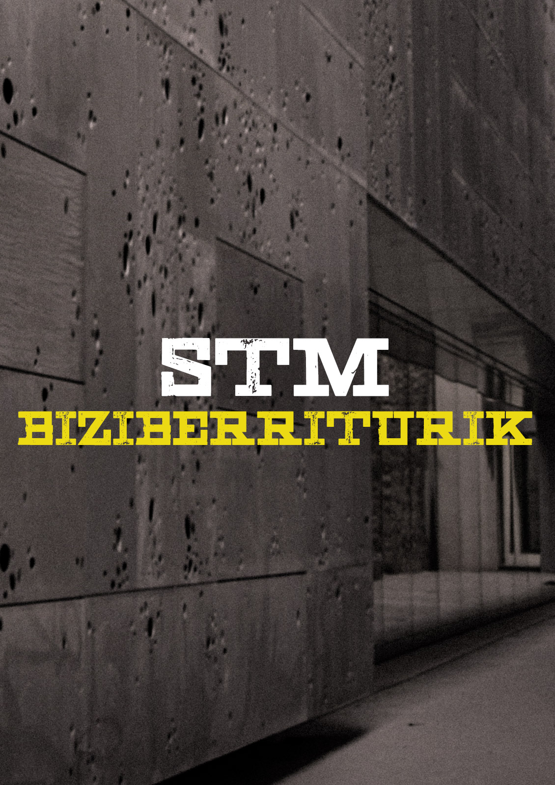 STM Biziberriturik