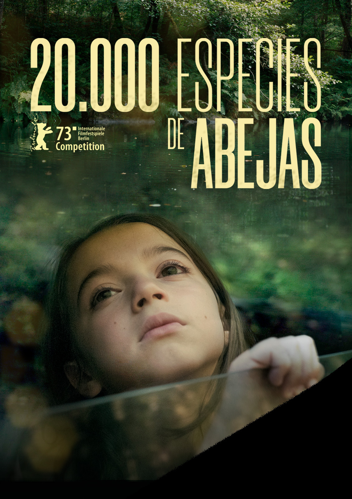 20.000 especies de abejas
