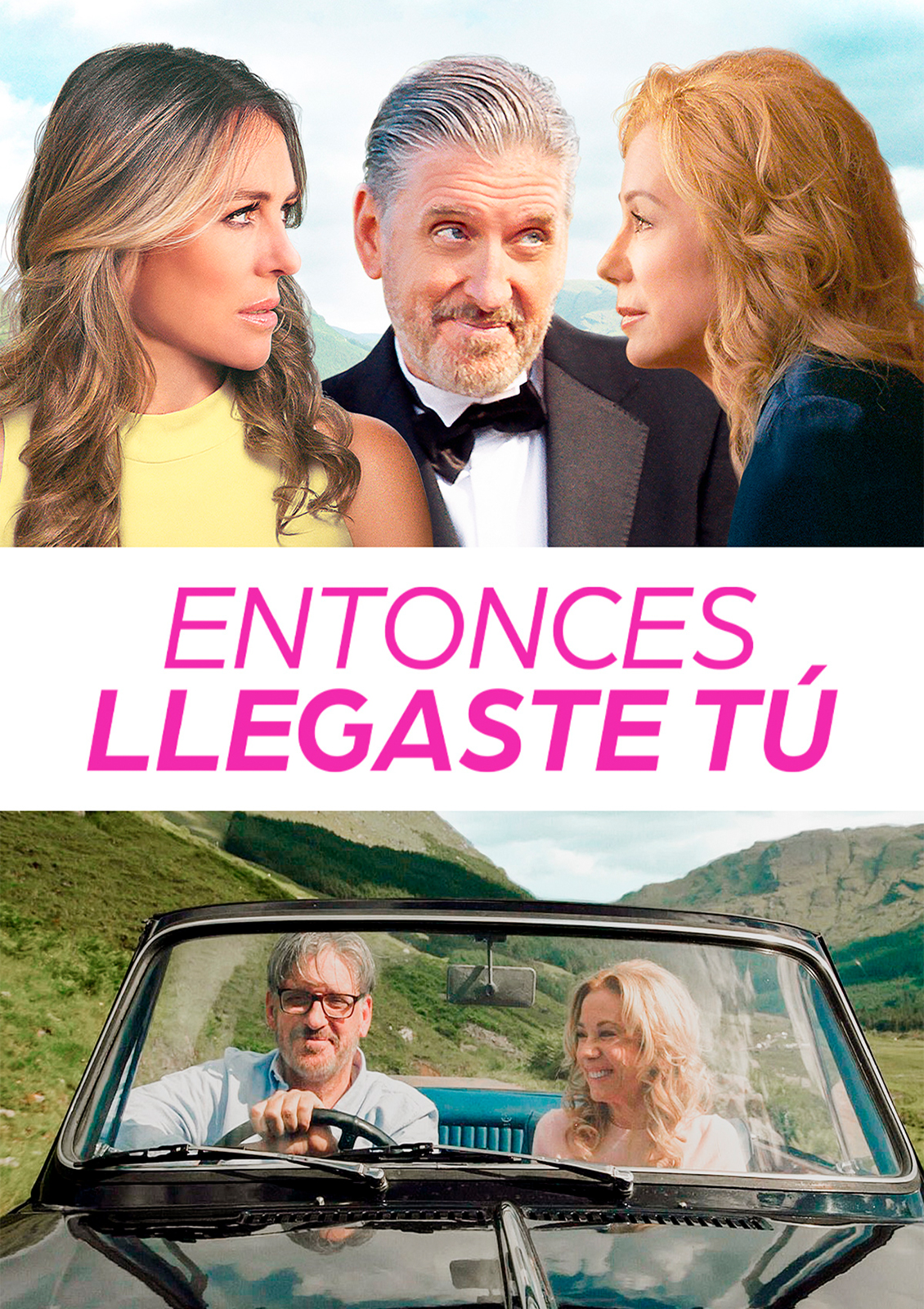 Entonces llegaste tú