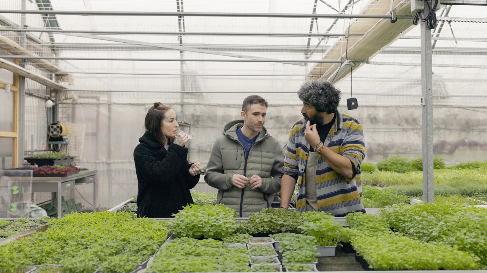 D1: 2. Kirkilla. Jardin bat zuretzat