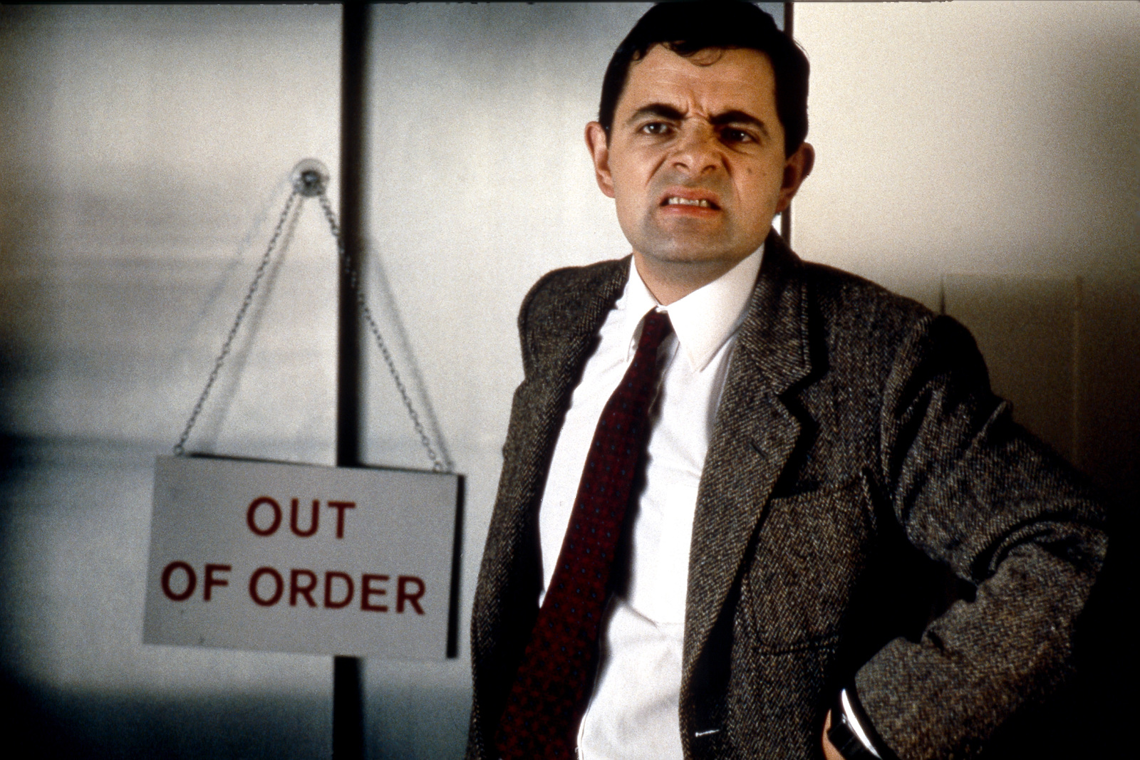 8. Bean jauna 426 gelan