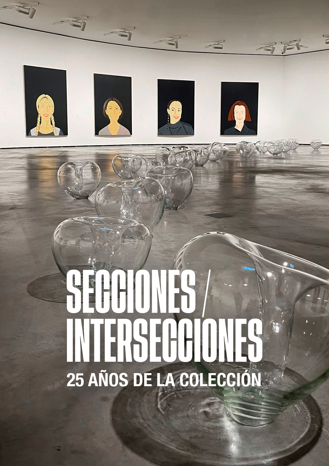 Secciones / Intersecciones. 25 años de la Colección del Museo Guggenheim Bilbao