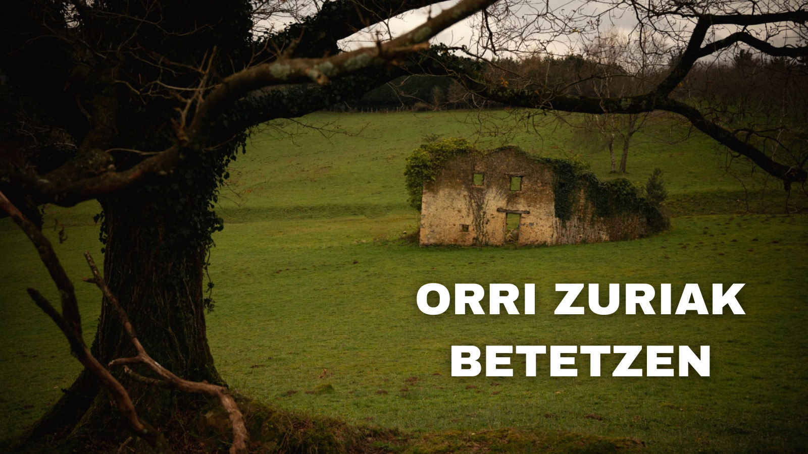 Orri zuriak betetzen