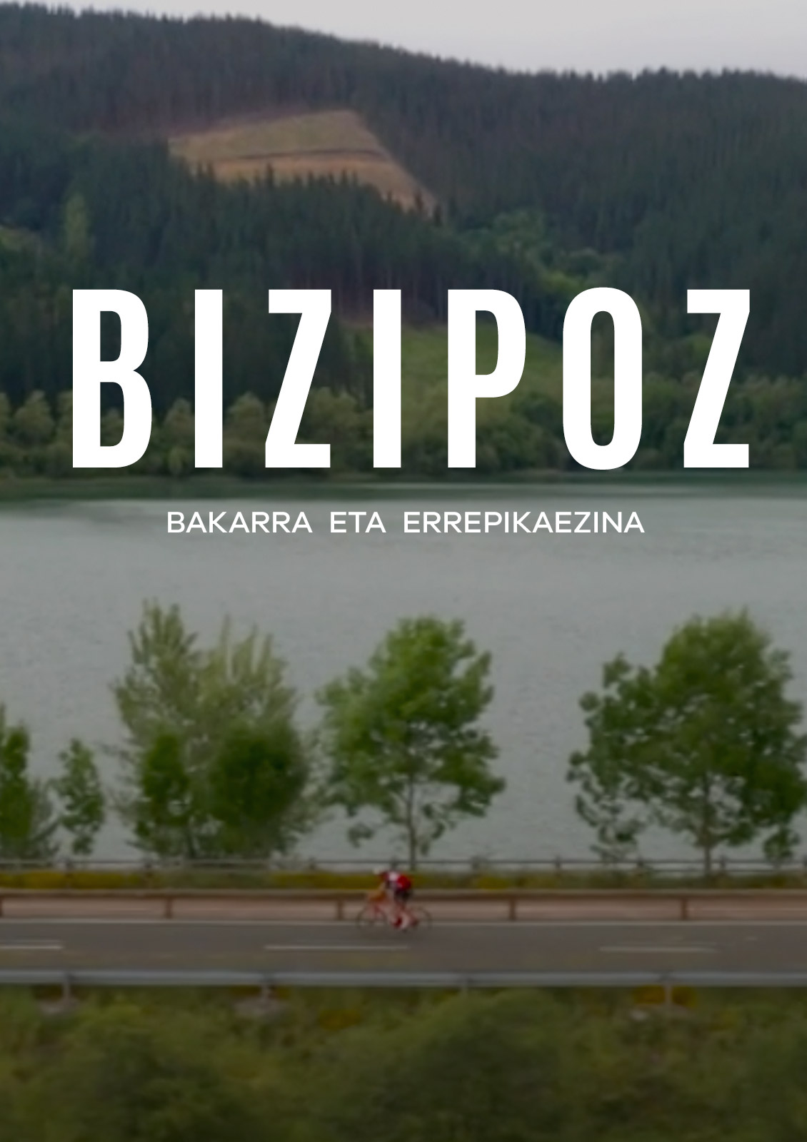 Bizipoz, bakarra eta errepikaezina