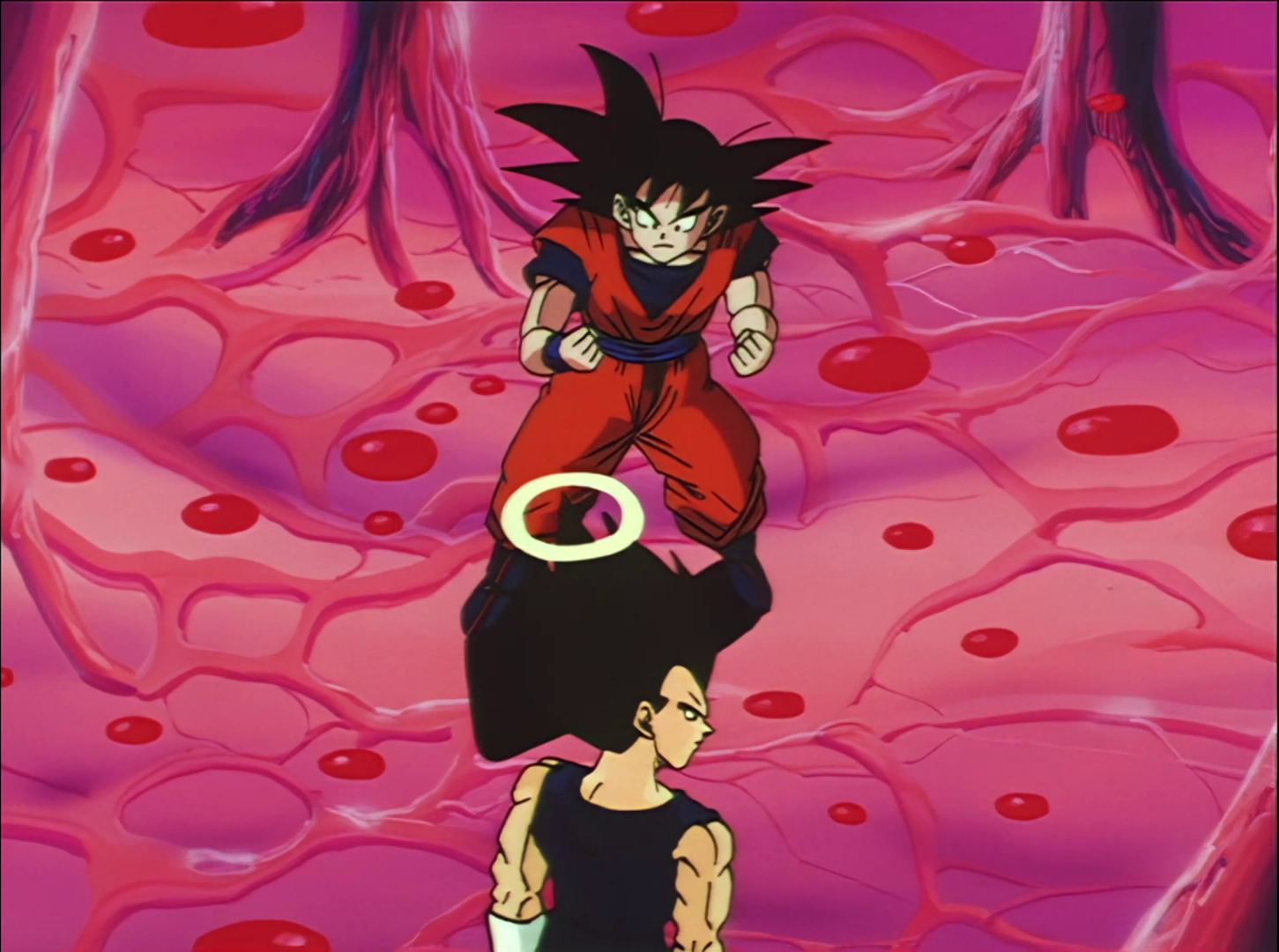 273. Labirinto bihurria. Zer ote dago Booren sabelean?