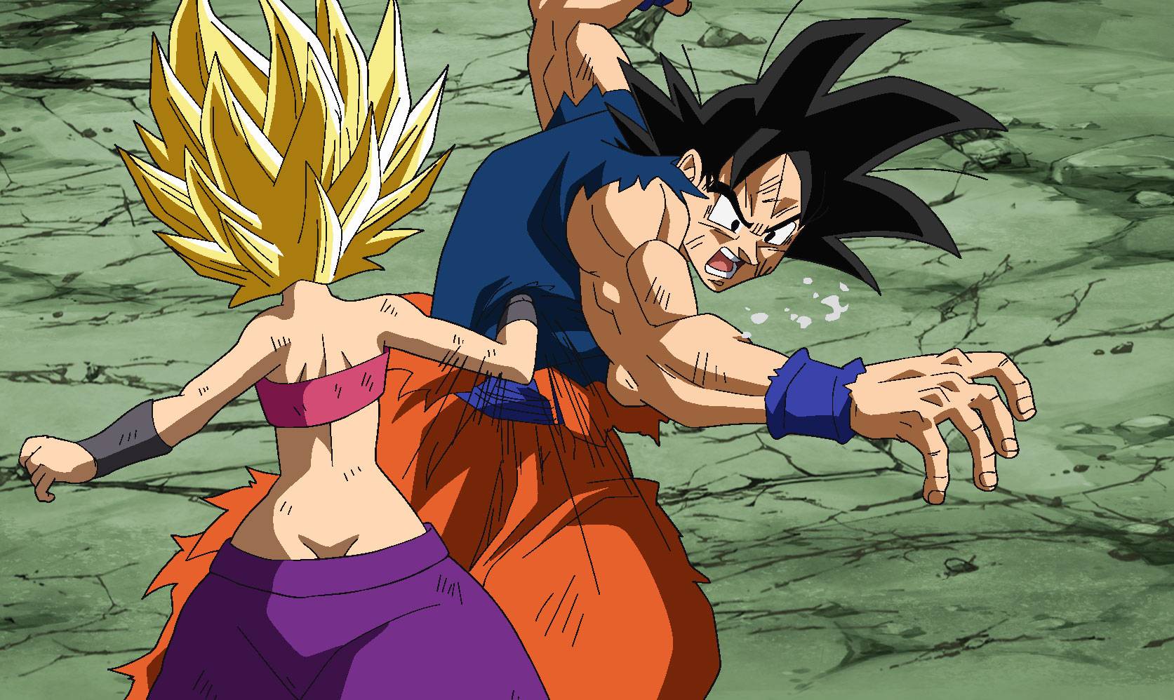 113. Hau zirrara! Saiyen arteko borroka eroaren errepikapena!