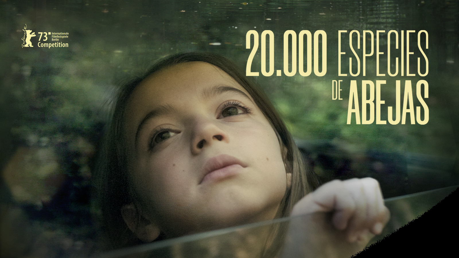20.000 especies de abejas