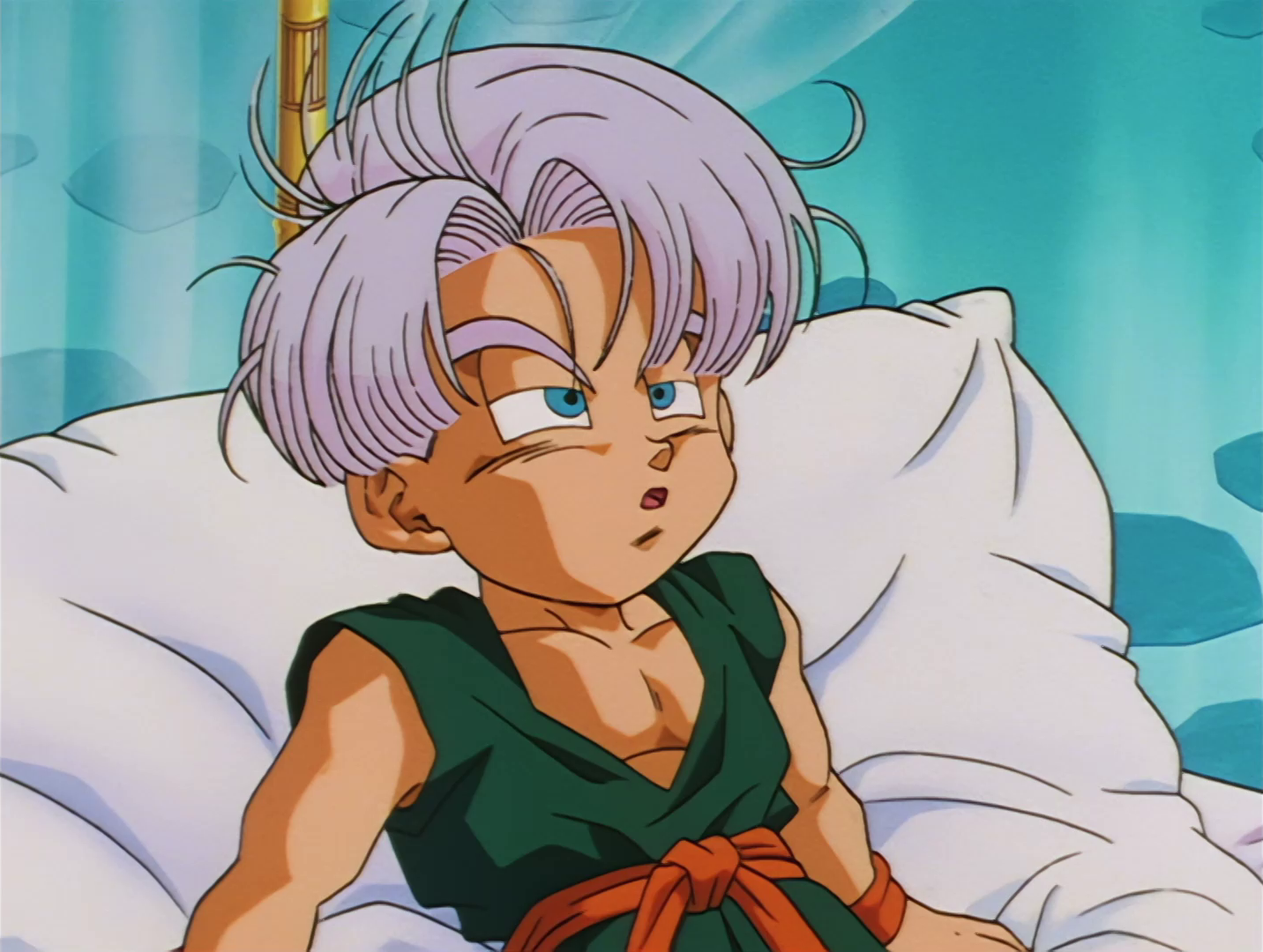 242. Gohanen osaketa. Kaio Shinen arma ezkutua