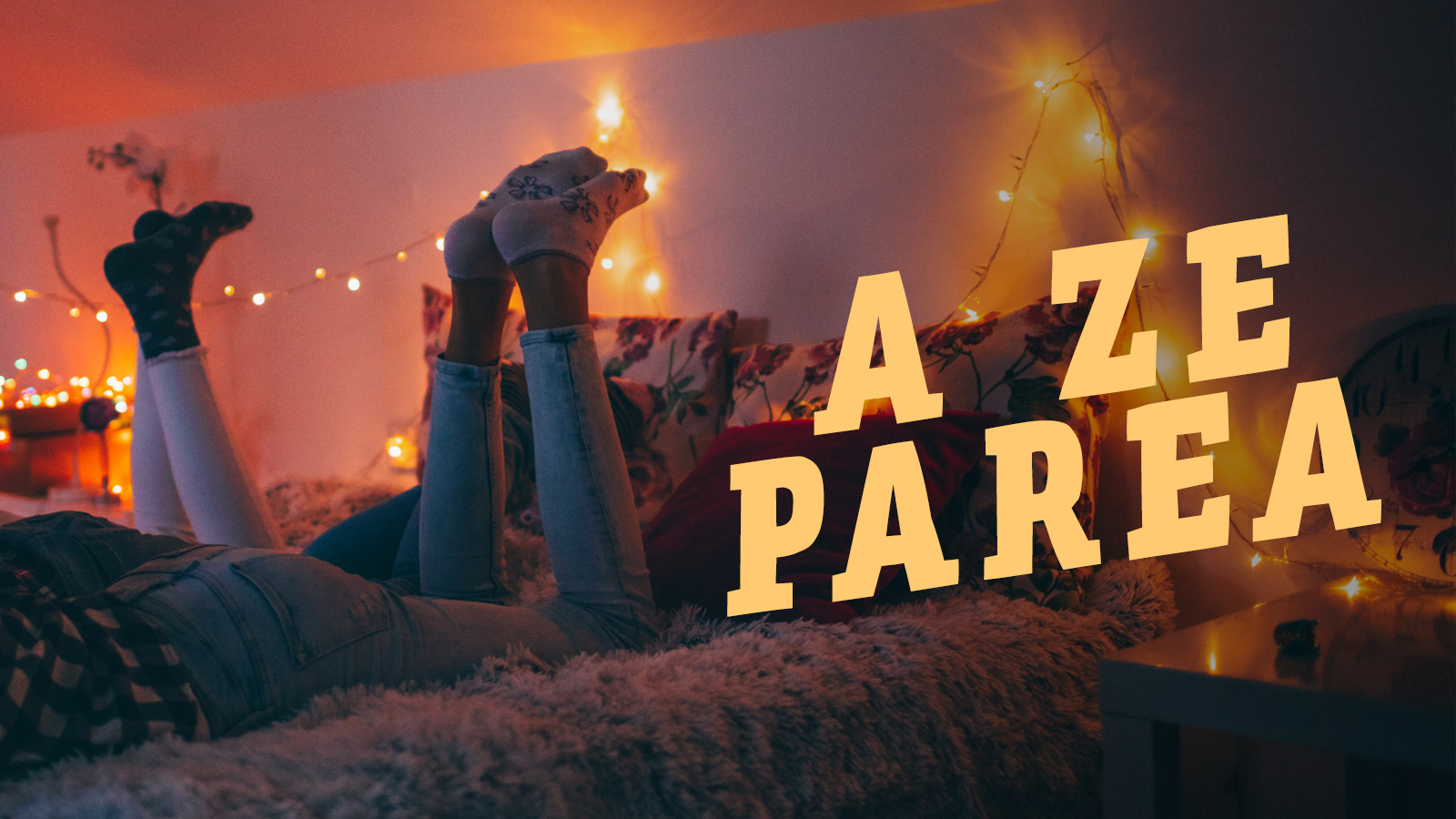 D1: 13. Zulotik sortu zen xagua