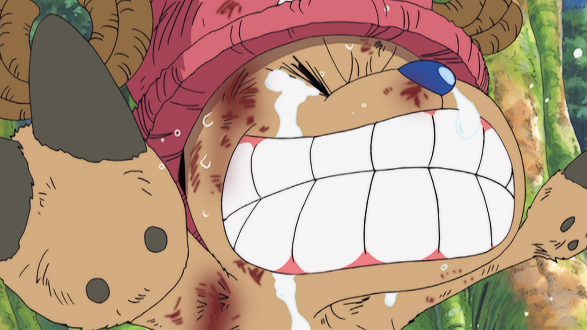 162. Chopper arriskuan! Jainko ohia Shura apaizburuaren aurka!