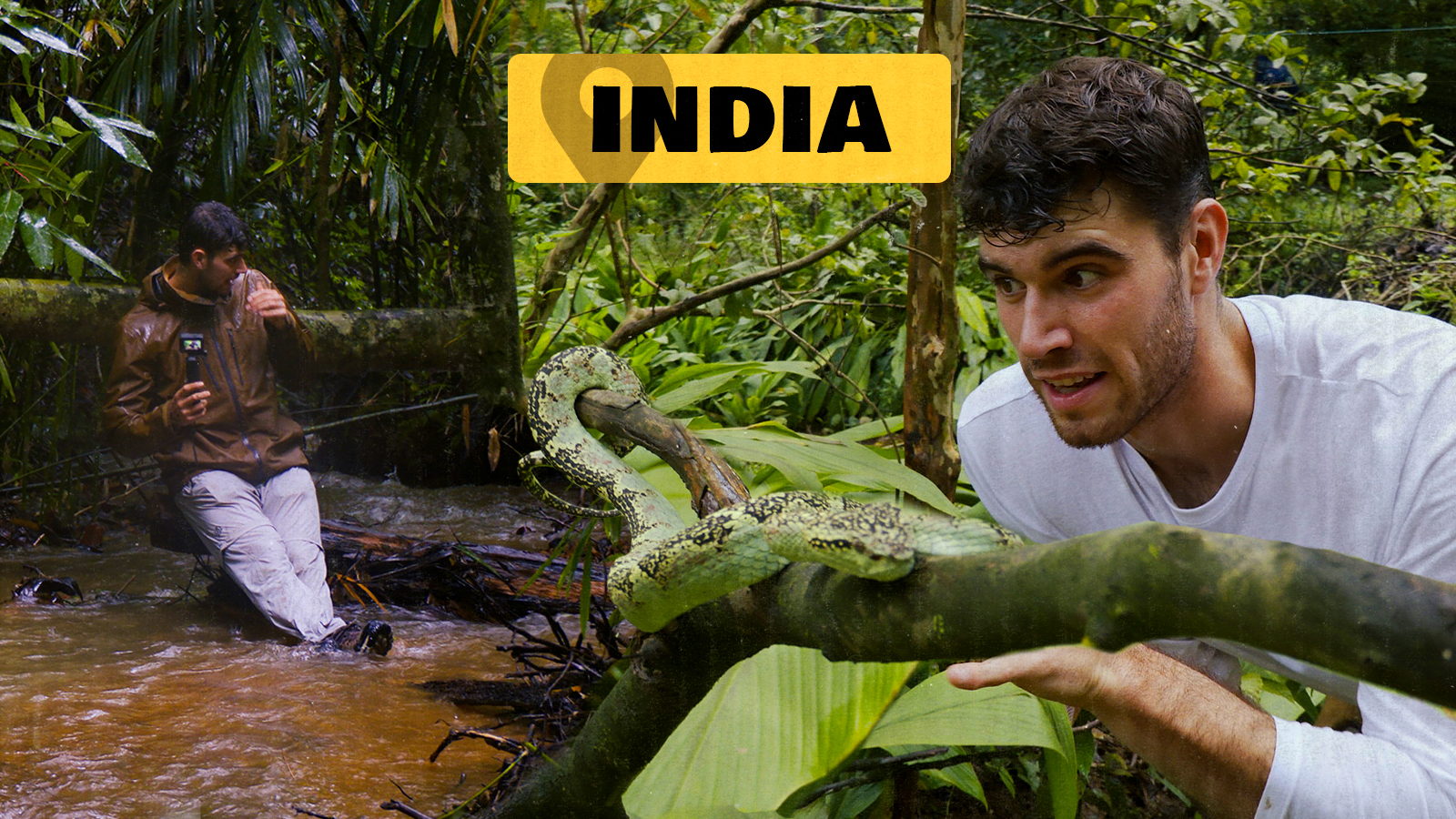 2. Sugeen artean montzoian harrapatuta