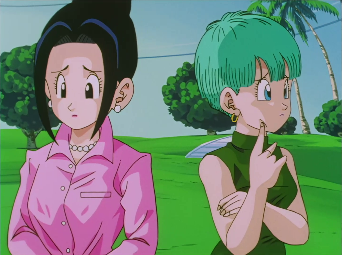 288. Berandu zabiltza Goku! Festan dira denak