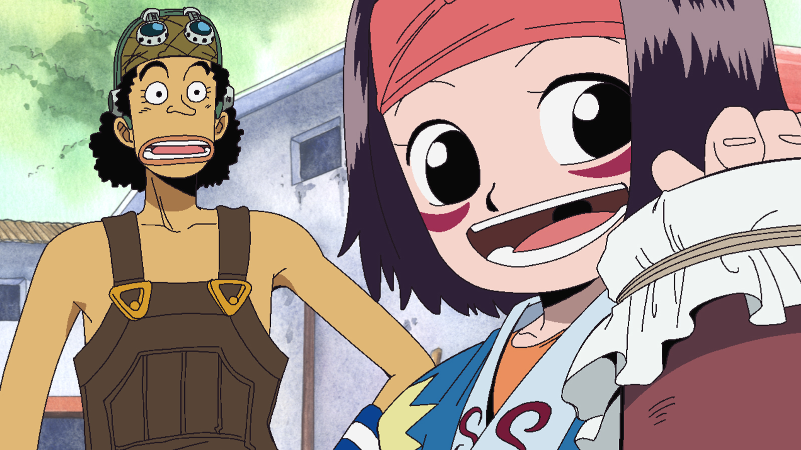 134. Usoppen su-bonba. Loreak zeruan