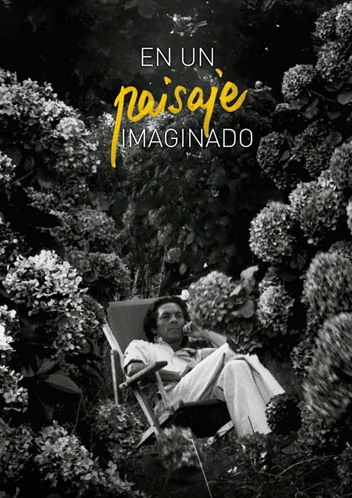 José Antonio Sistiaga: Irudikatutako paisaian