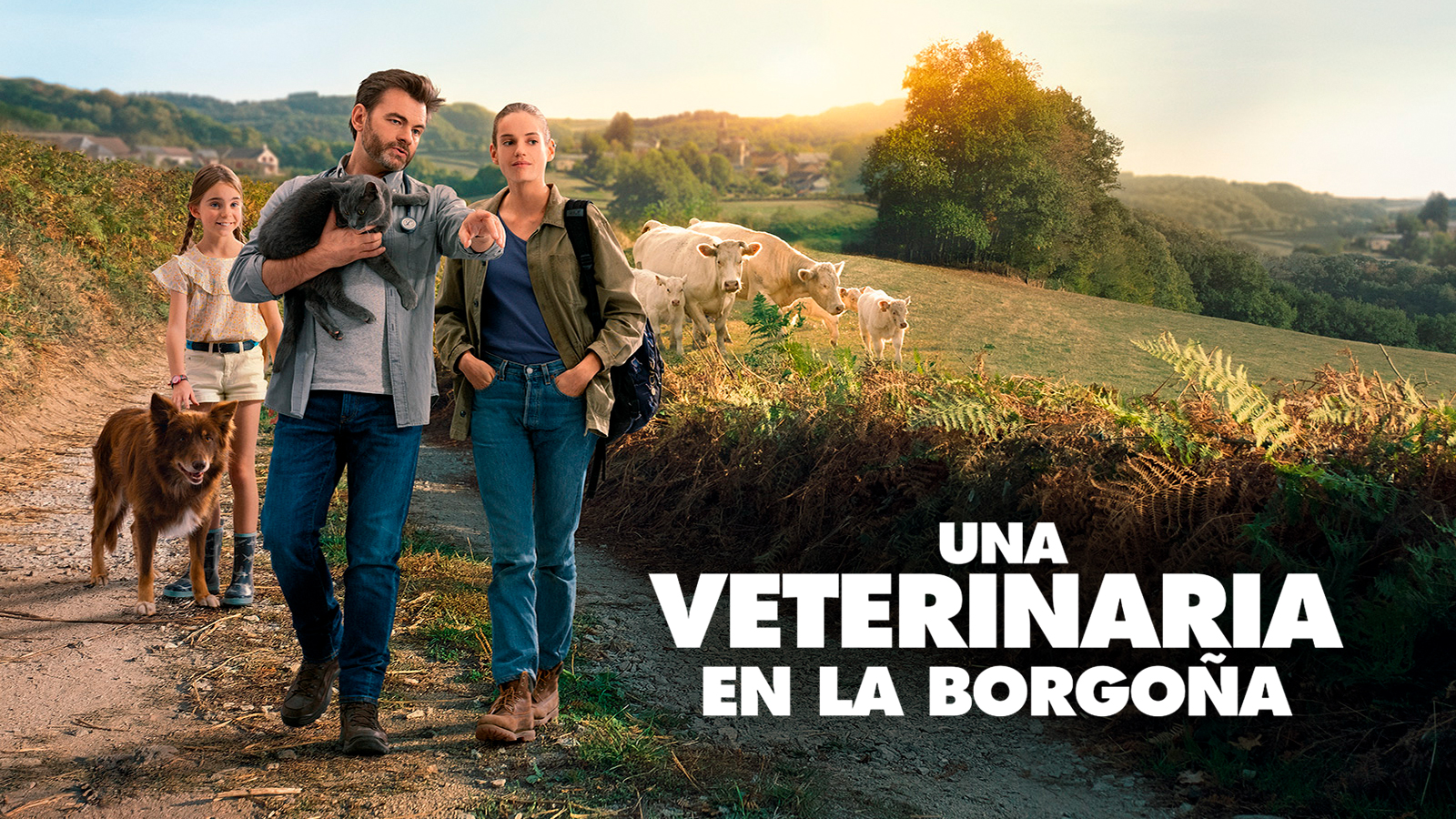 Una veterinaria en la Borgoña