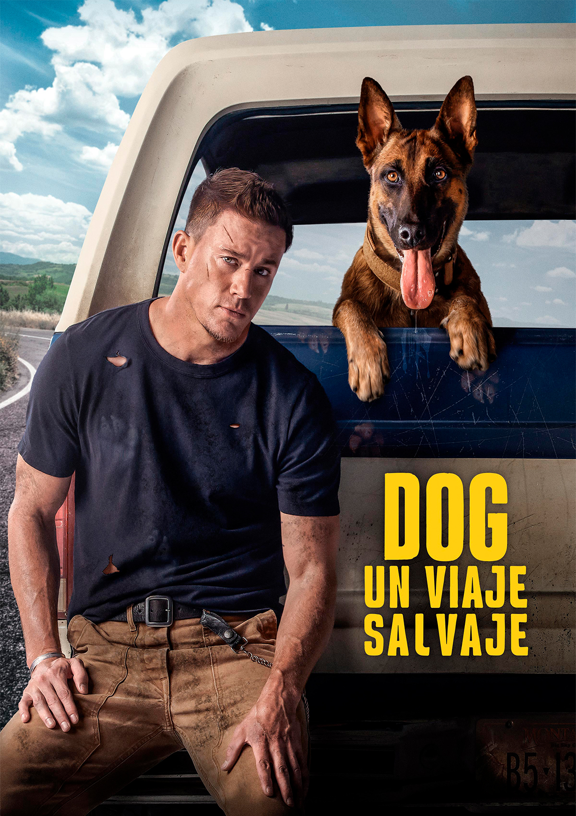 Dog, un viaje salvaje