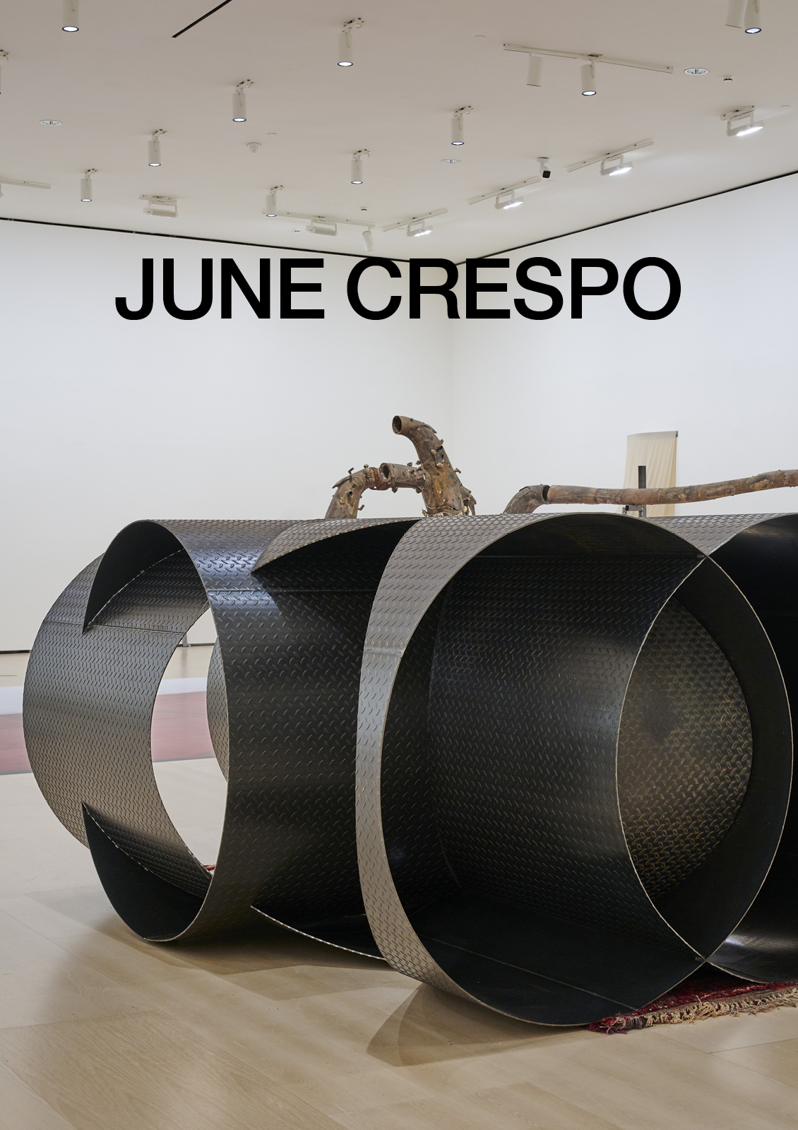 June Crespo. Baskularra  | June Crespo. Vascular