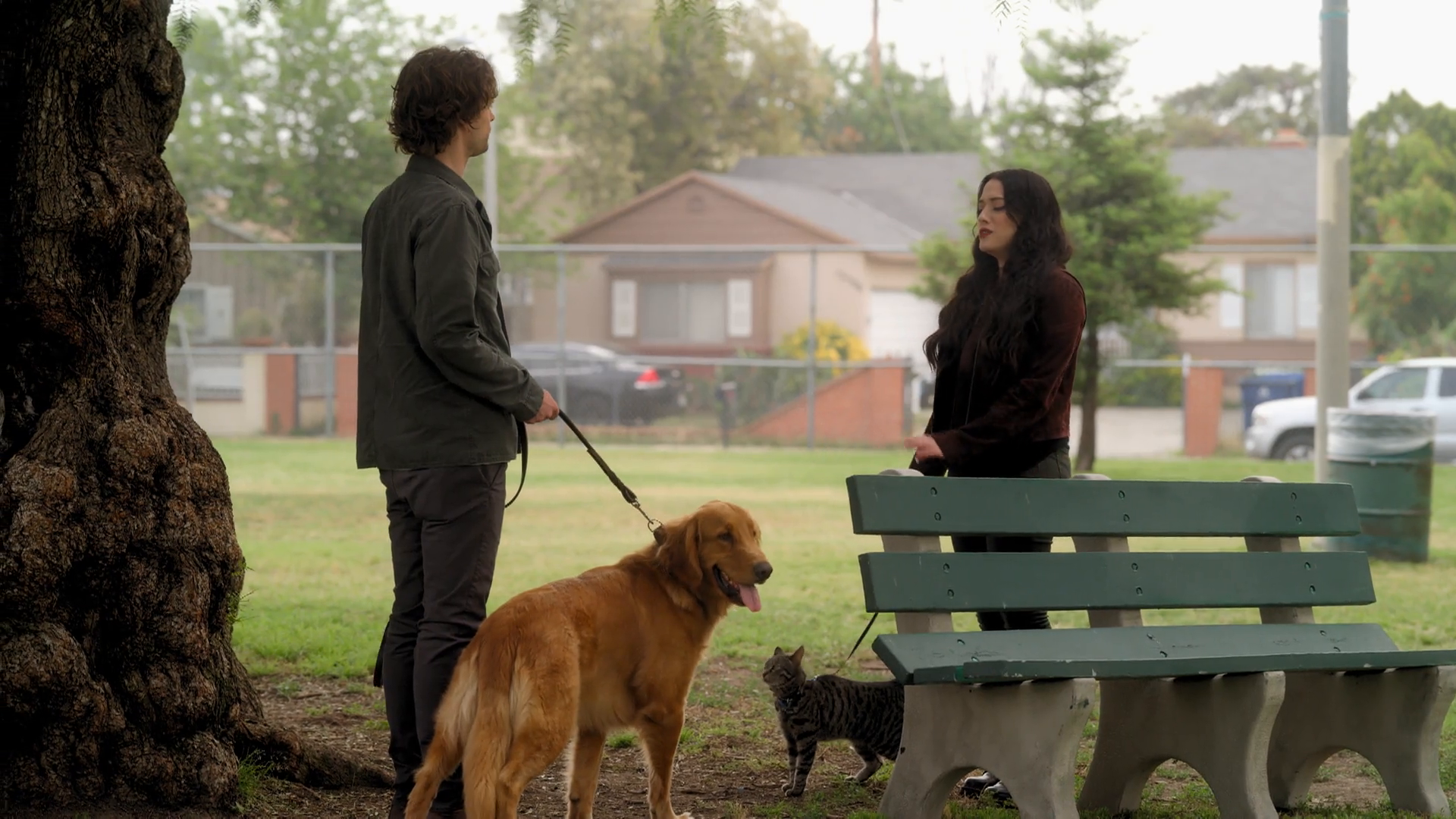 5. Edertasunaren erregina