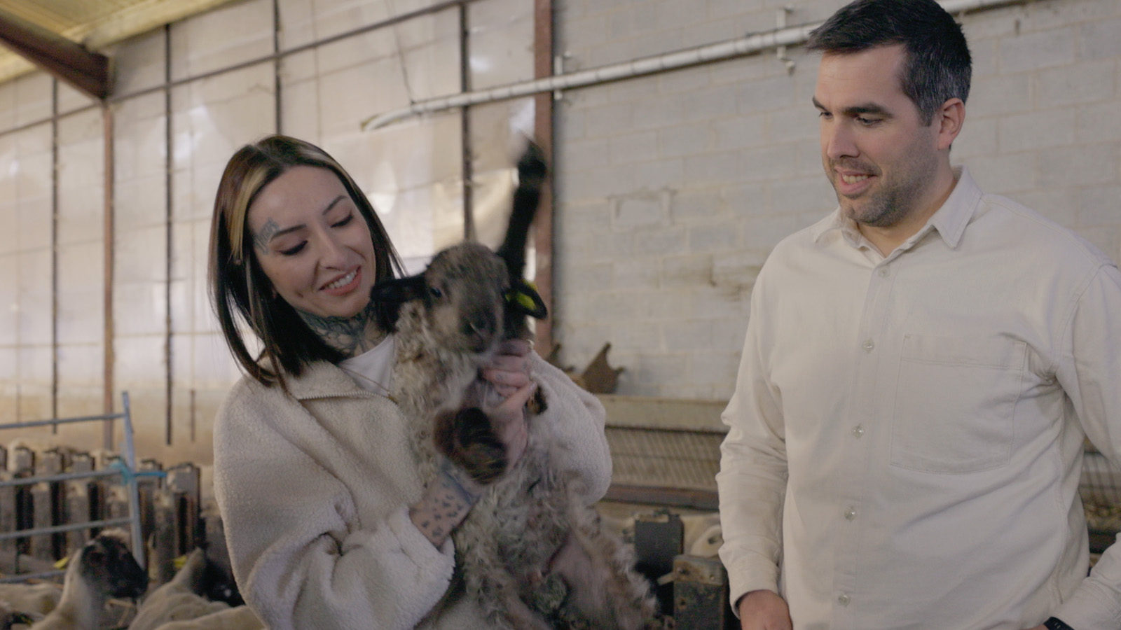 D1: 1. Garena. Bi ardi erdi