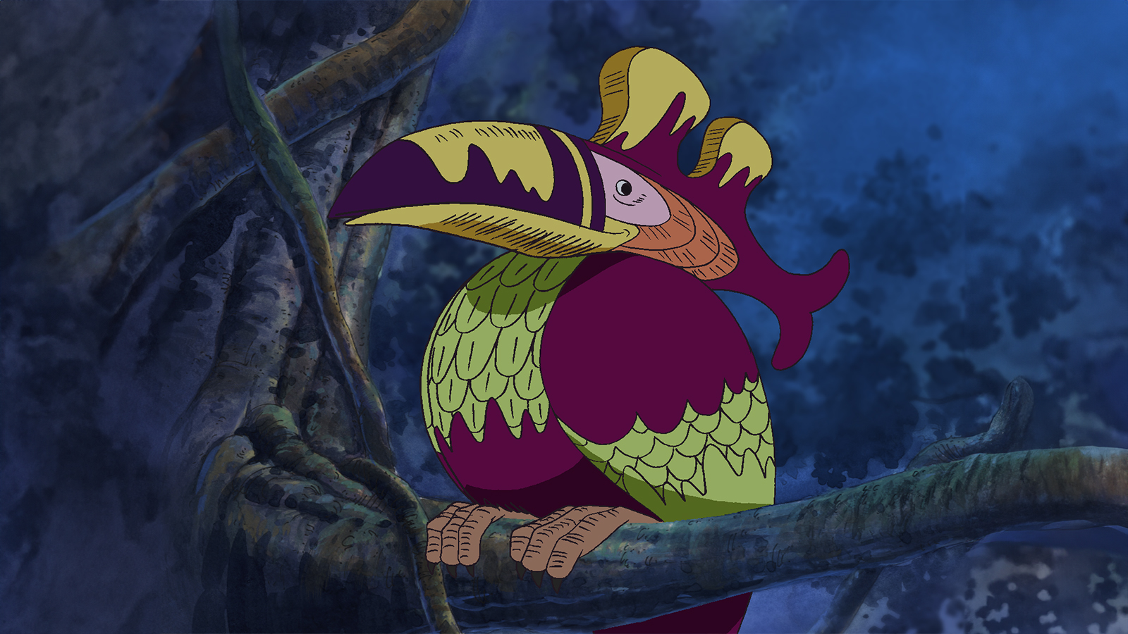 149. Hodeietarako bidean. Hegoaldeko txoriaren bila