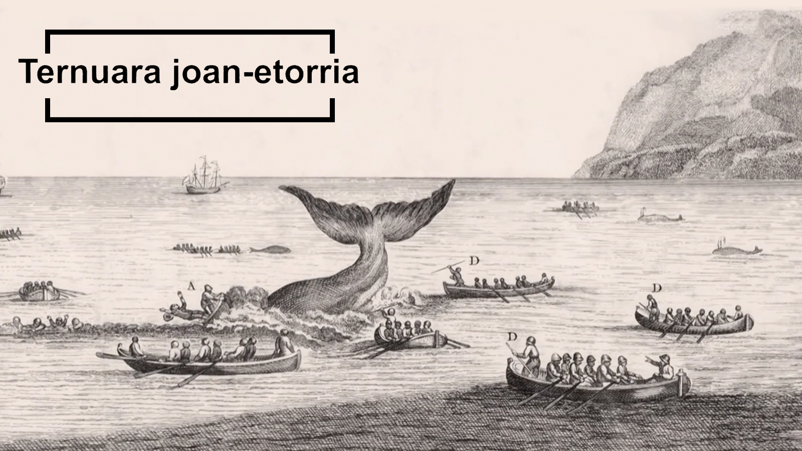 Ternuara joan-etorriak