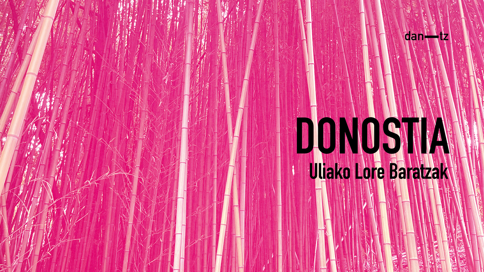 DANTZ POINT. Uliako mintegiak. Donostia.