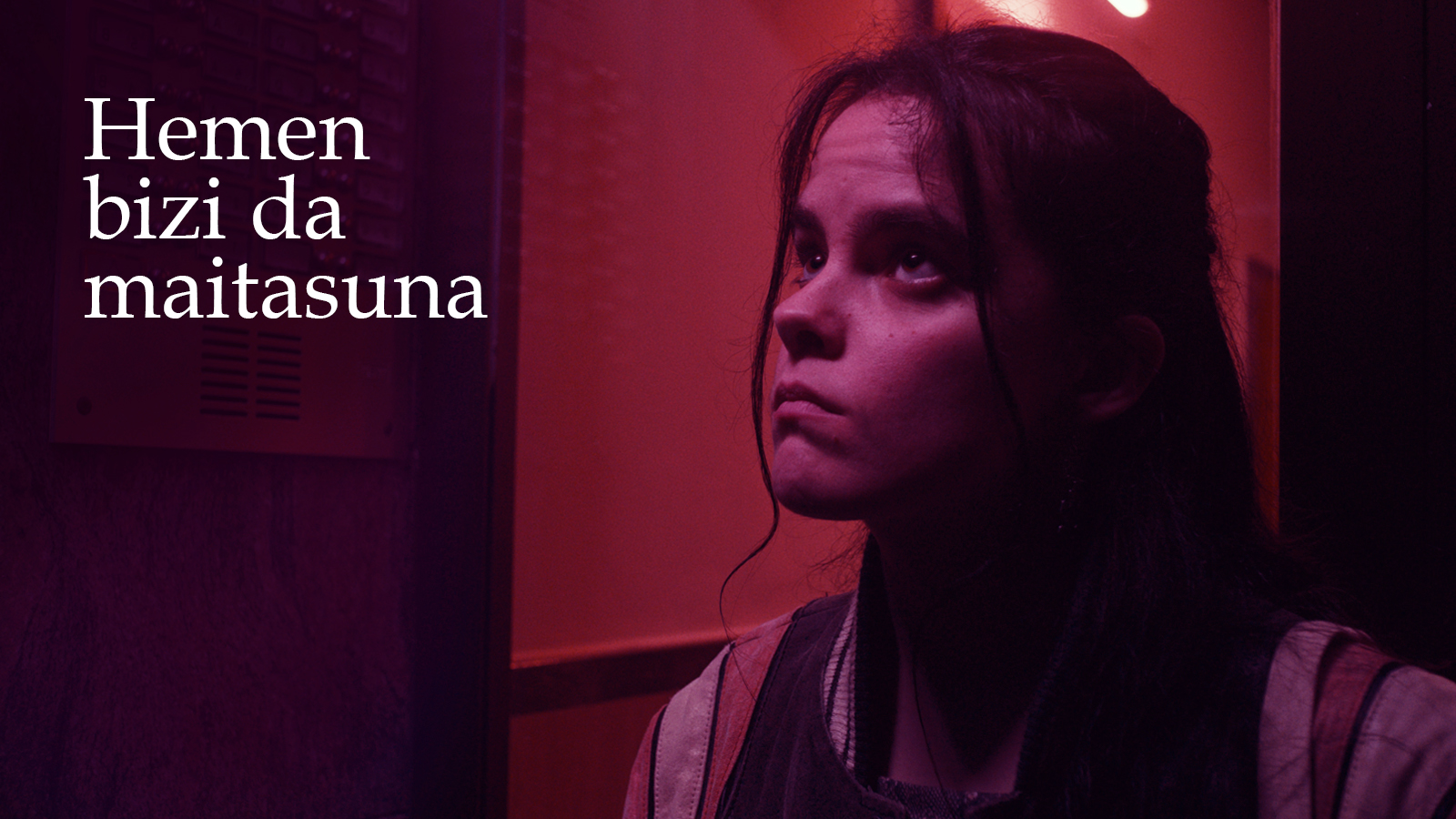 Hemen bizi da maitasuna