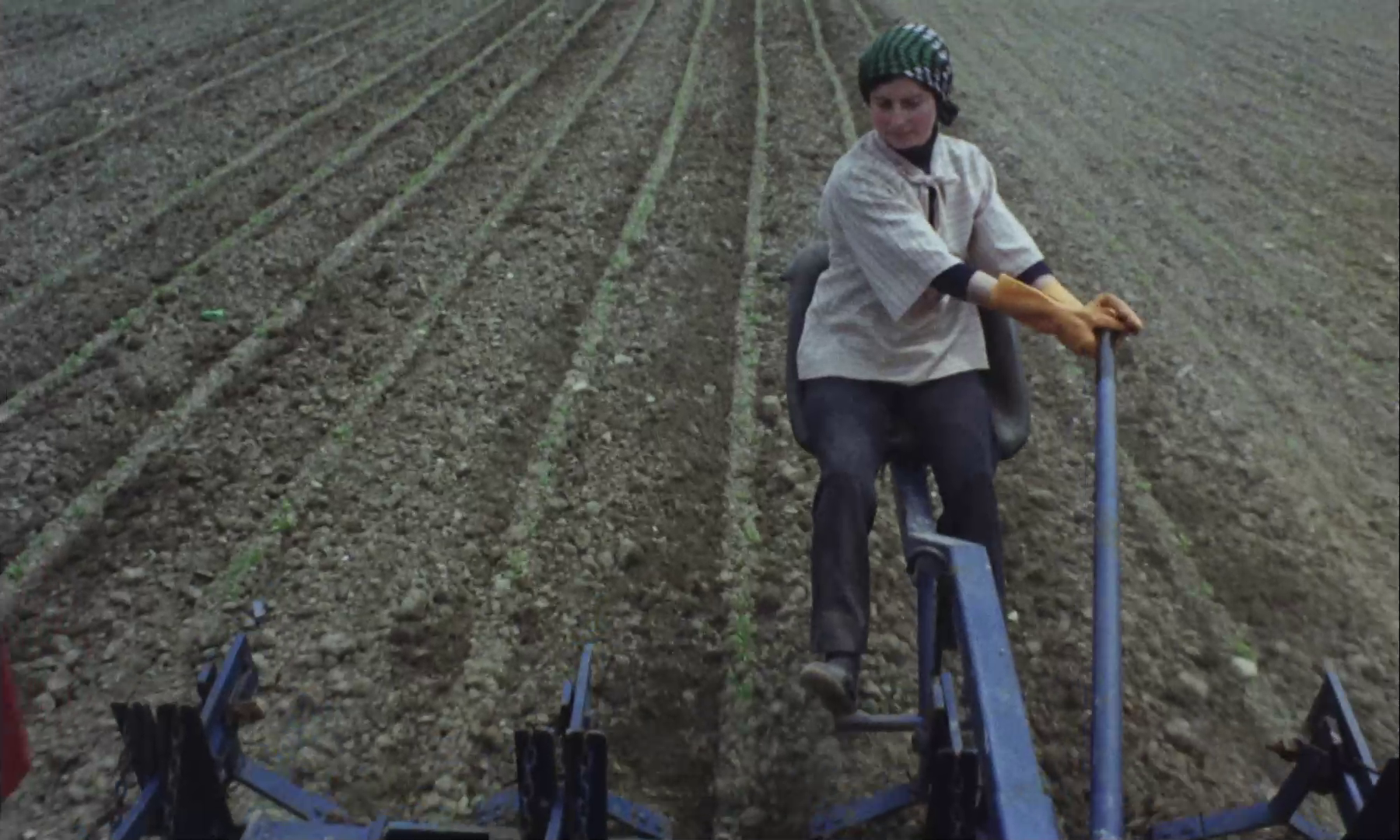 9. Arabako herrien heriotza