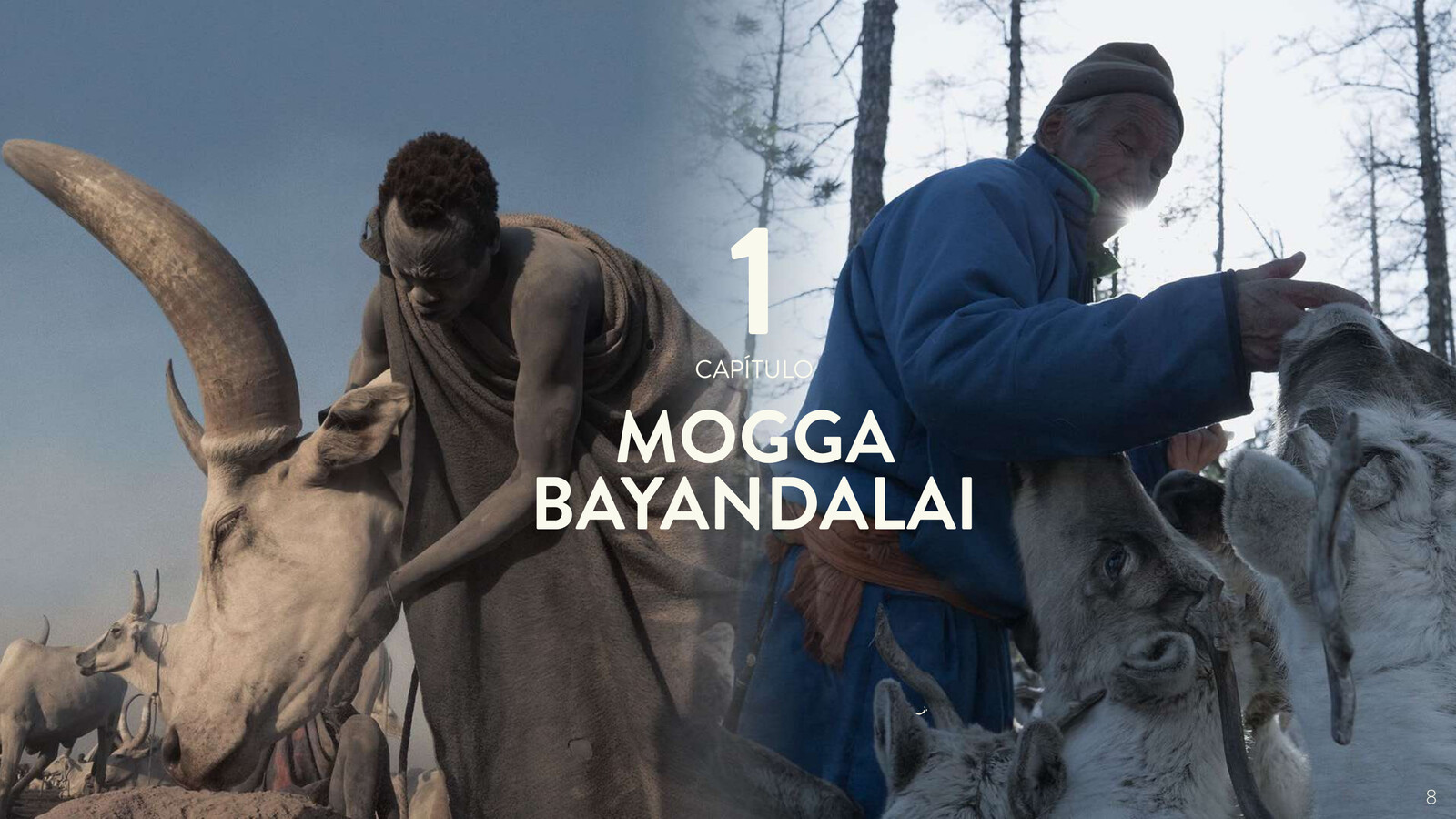 1. Mogga & Bayandalai