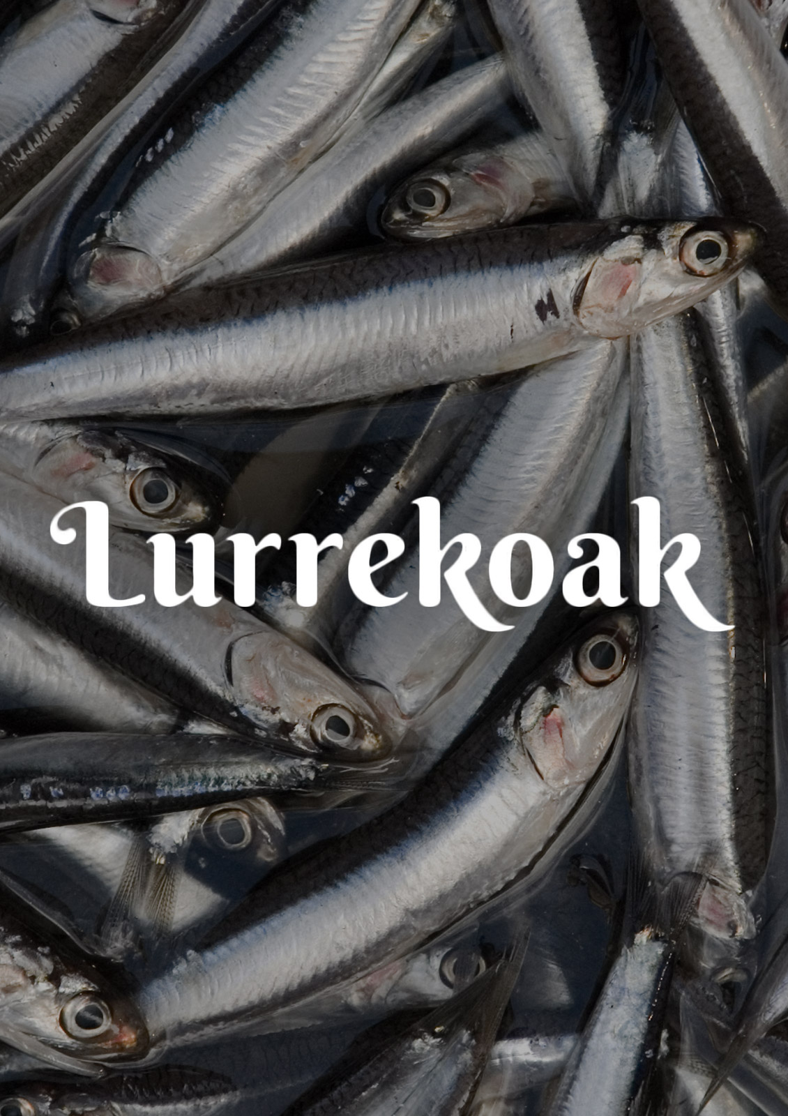 Lurrekoak