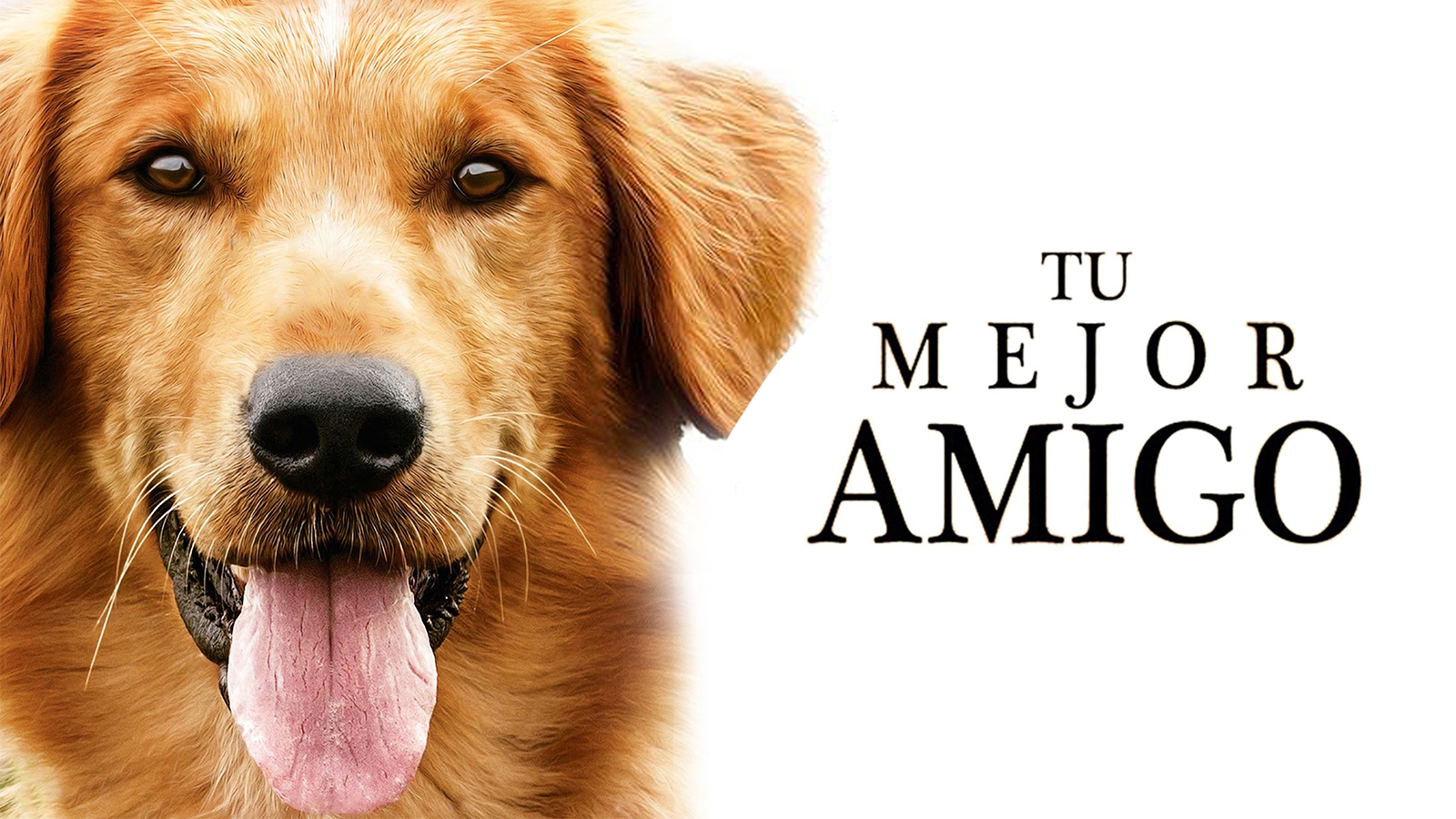 Tu mejor amigo