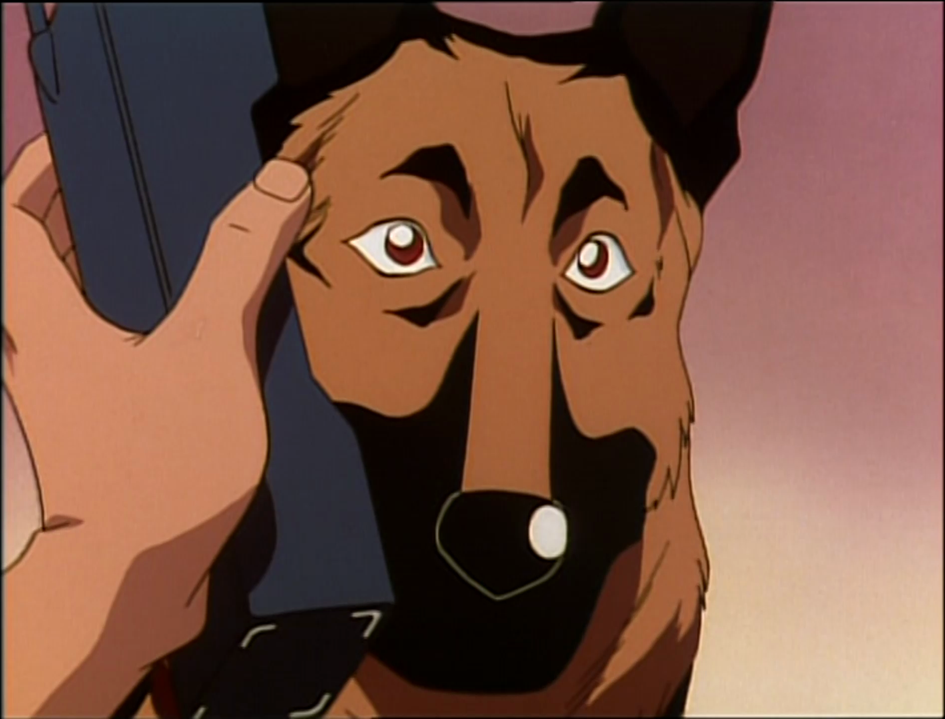 27. John eta hilketa kasua