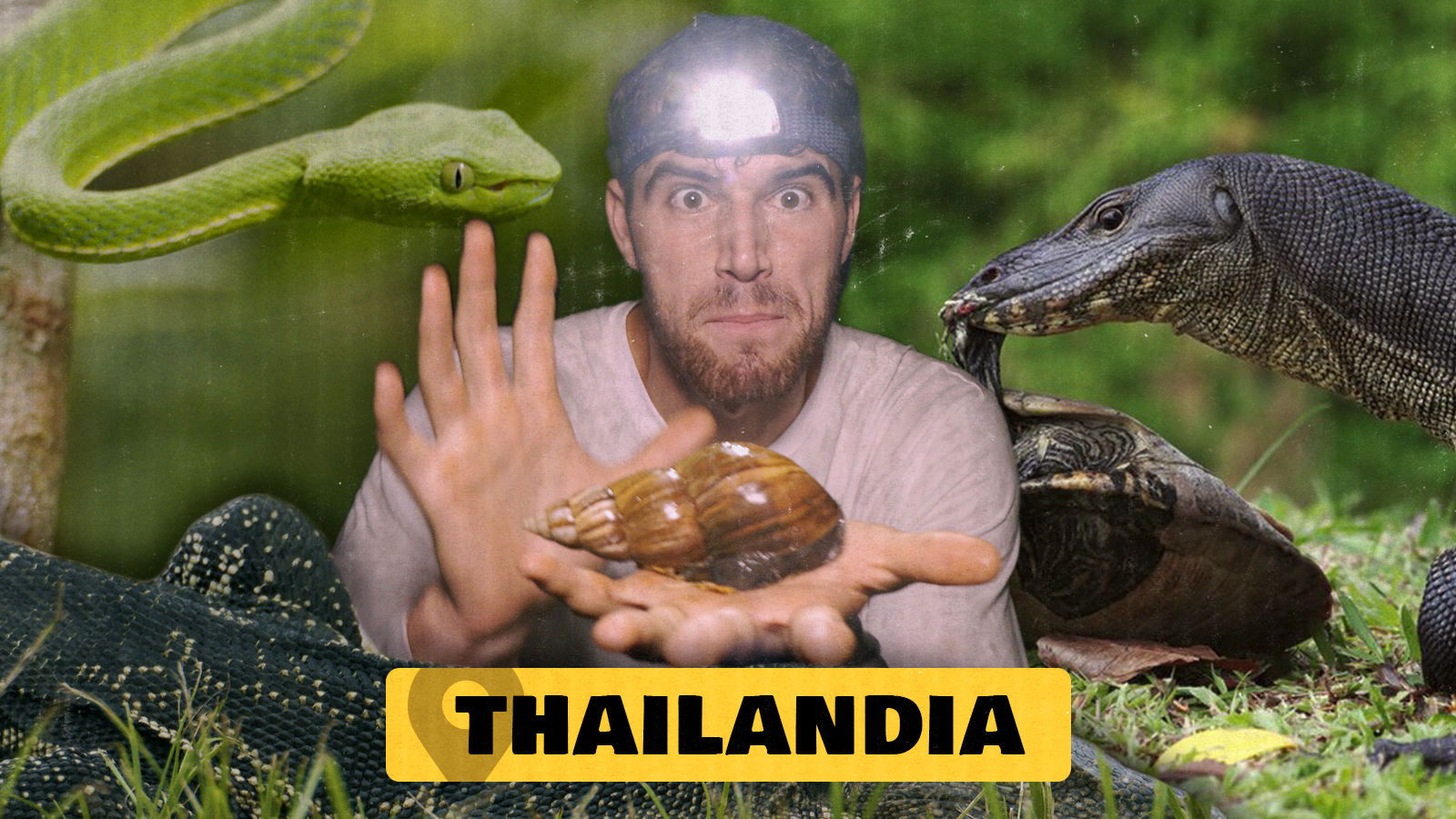 6. Thailandiako animaliarik harrigarrienak